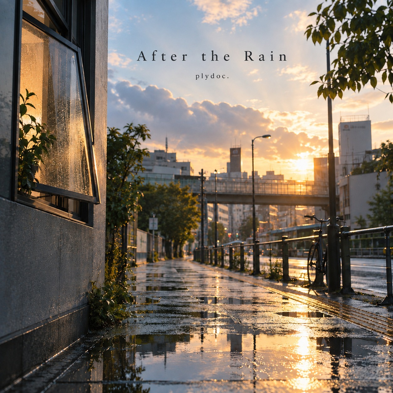 After the rain artwork