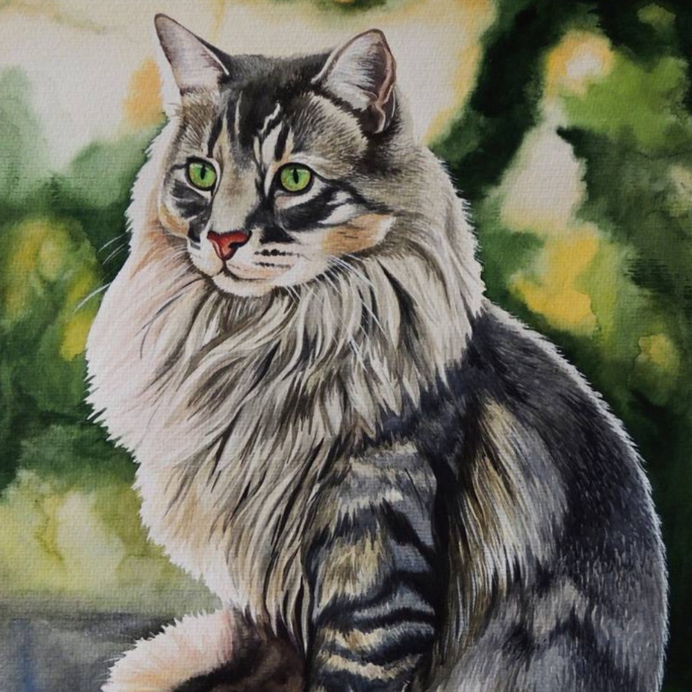 Image for The Cats Saga