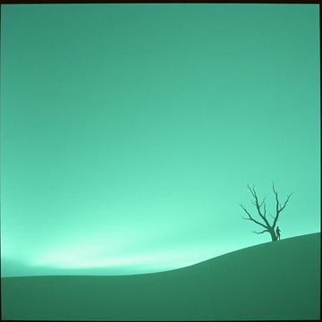 Image for Instrumental Remixes