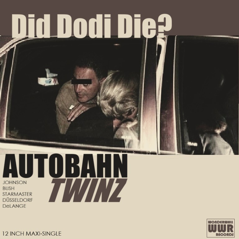 Did Dodi Die? (external point mix) artwork