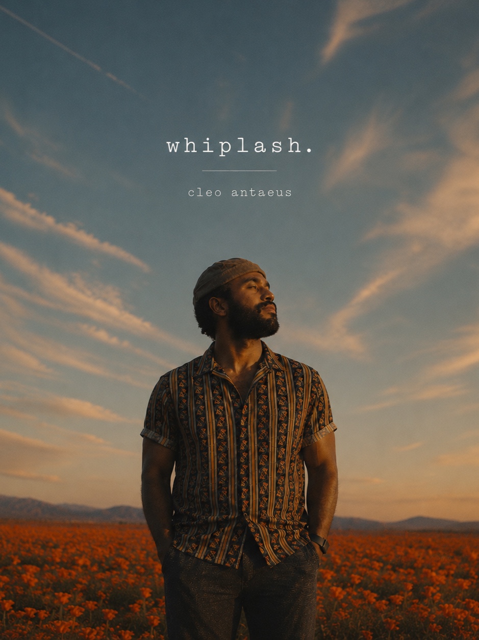 whiplash. artwork