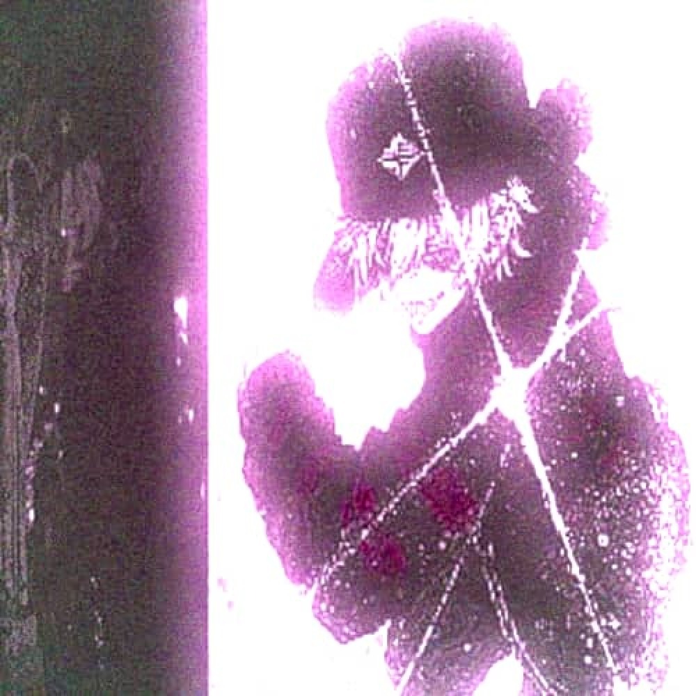 𝔥✧𝔩𝔶 𝔪✧𝔩𝔶 artwork