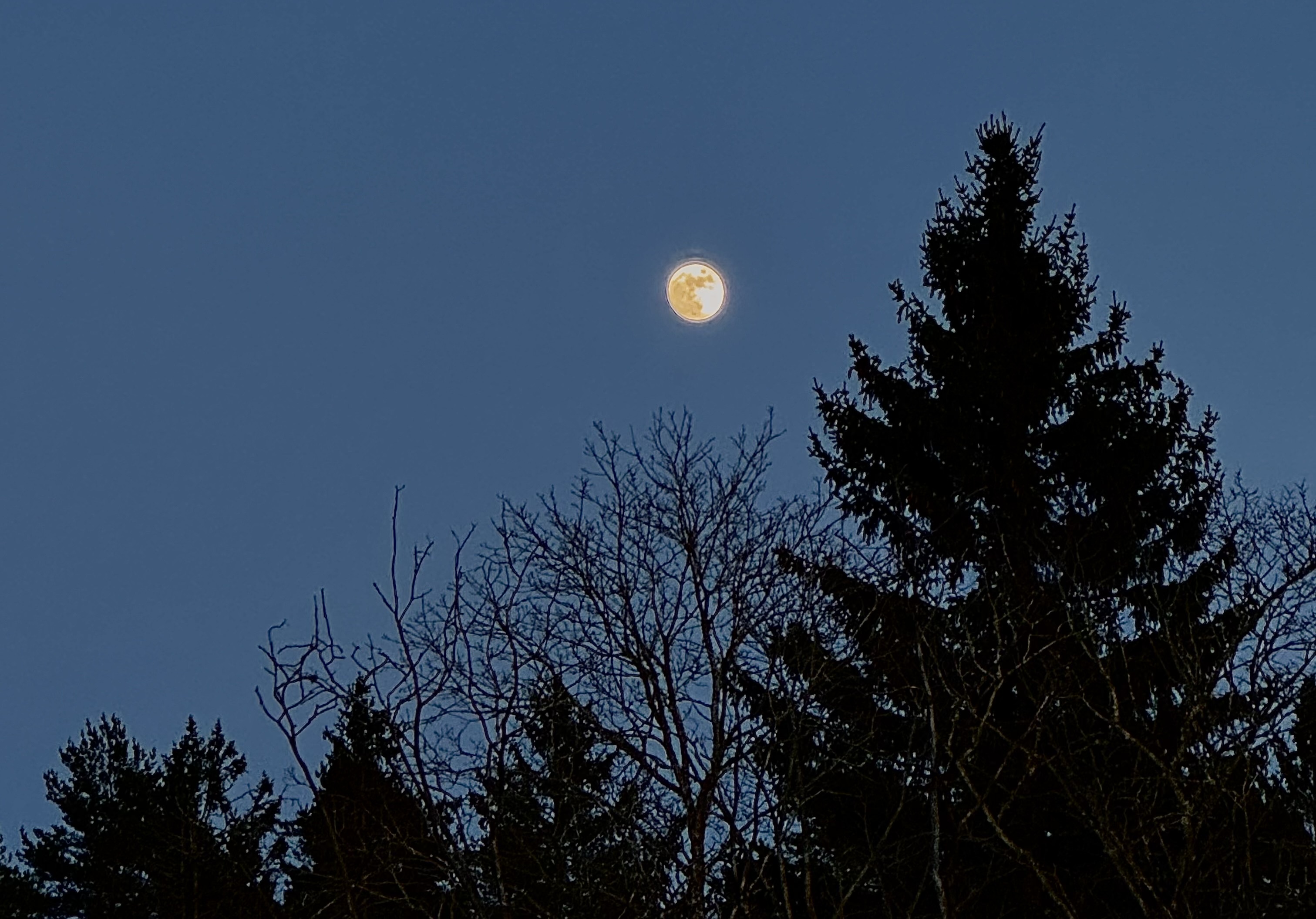 Under the Full Moon artwork