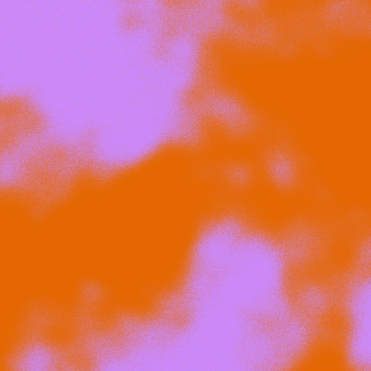 Image for Iliad Book VII