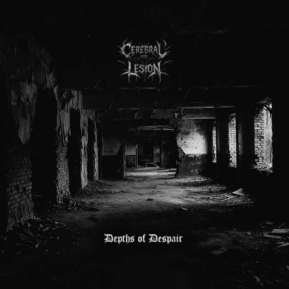 Image for Depths of Despair