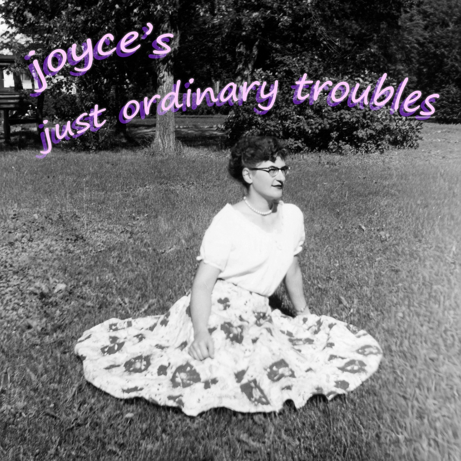 Image for Just Ordinary Troubles
