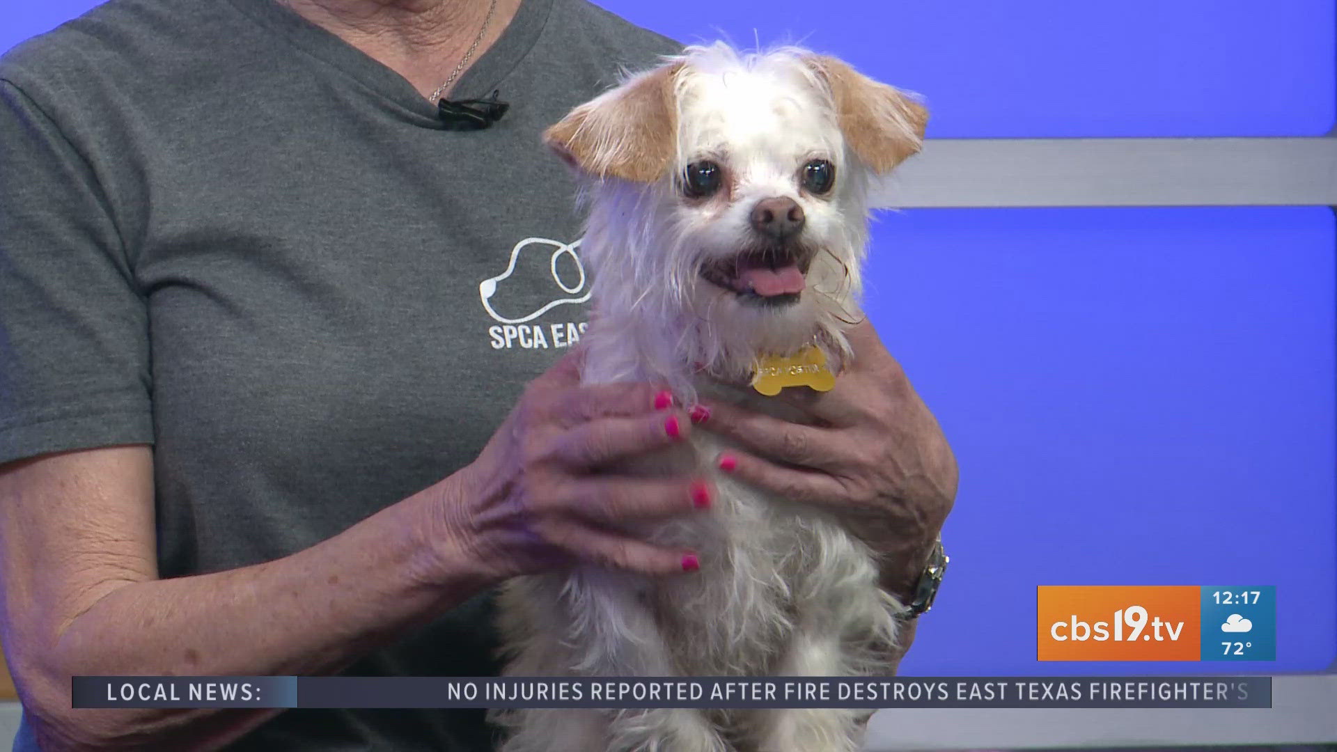 Persona image for some dude