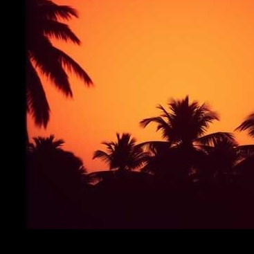 Image for Warren Daddy's Music