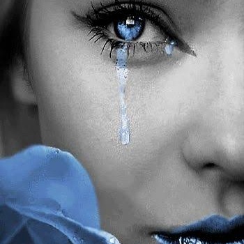 Image for My Favorites