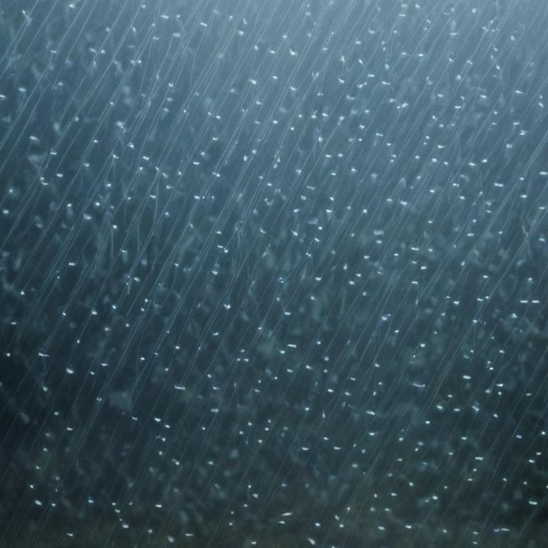 Danse sous la Pluie artwork