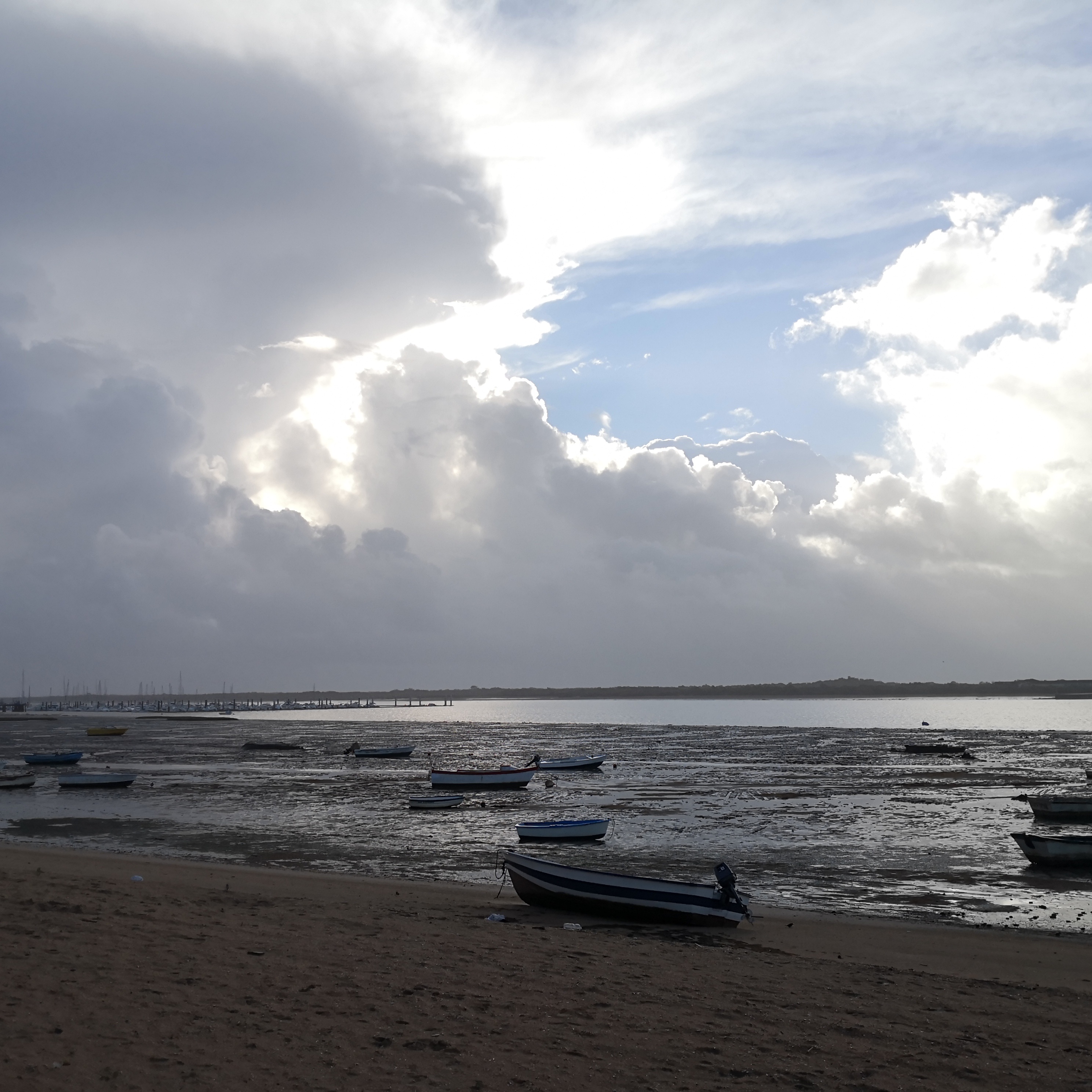 Image for Melodia Pop