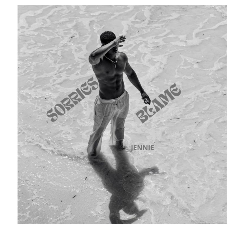 sorries, blame artwork