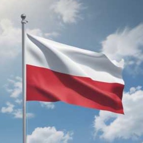 Image for Polskie Przeboje - Polish Hits