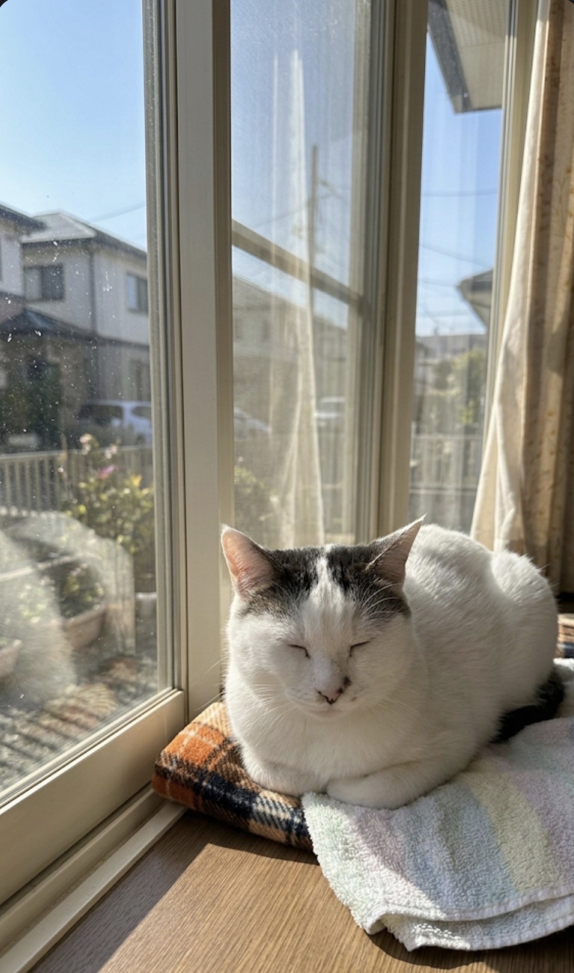 Image for イベント参加曲