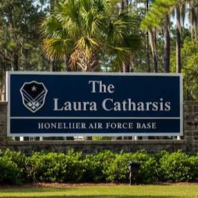 Image for The Laura Catharsis