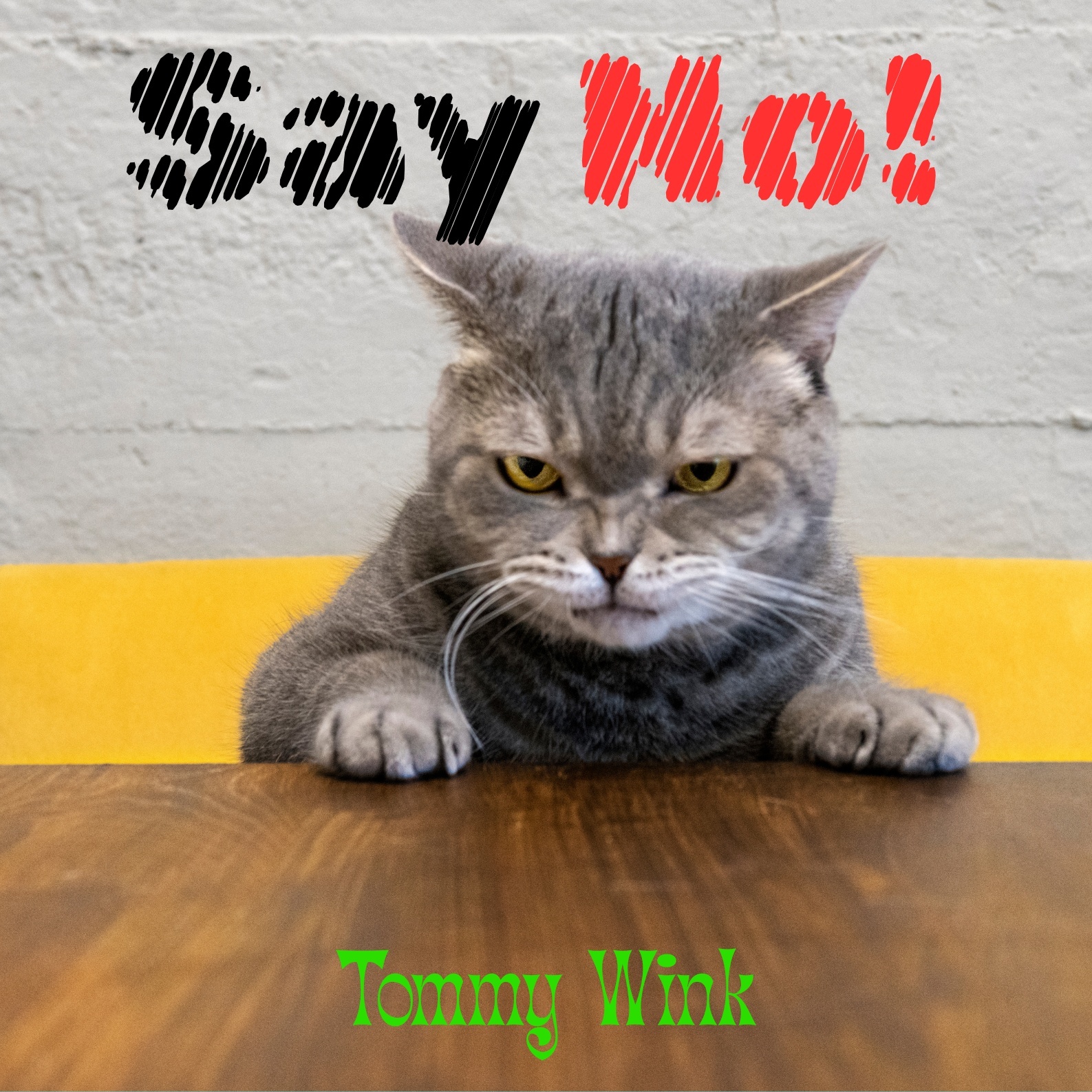 Image for Album 26; Say No!