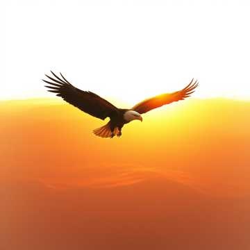 Image for Русский язык. БИТВЫ с тьмой. Исповеди.