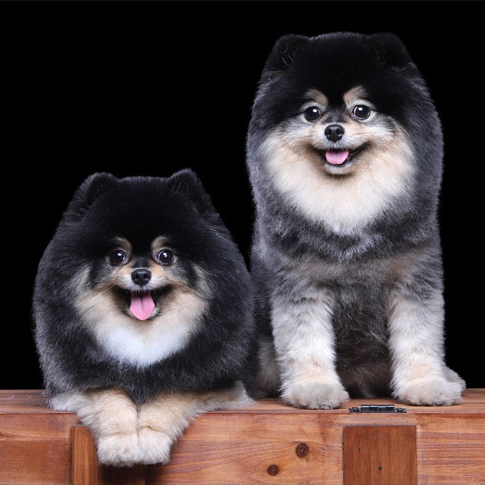 달곰이