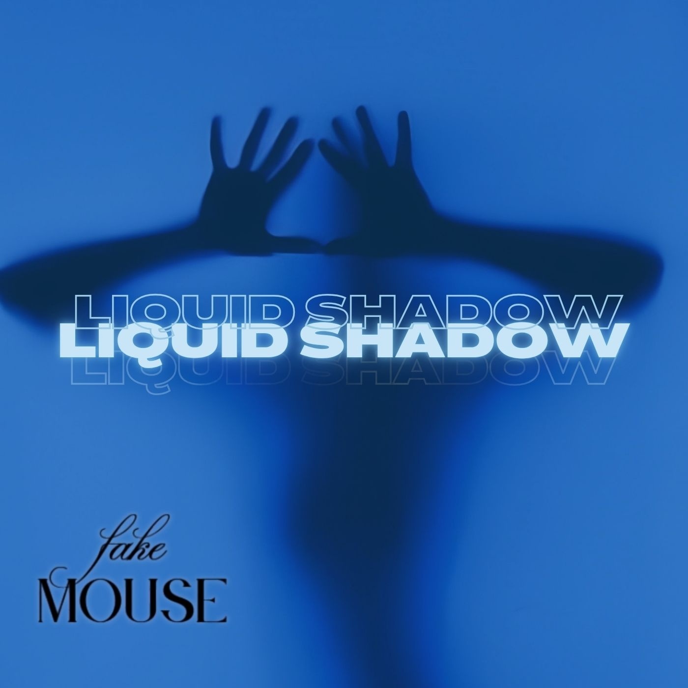 Image for Liquid shadow