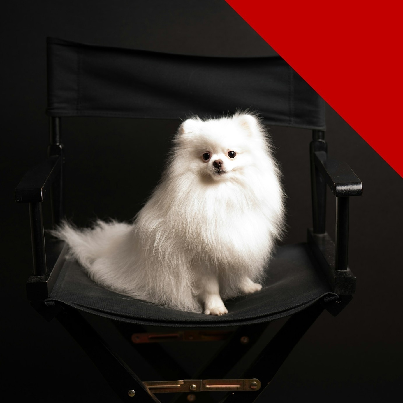 Image for kouka Rimix