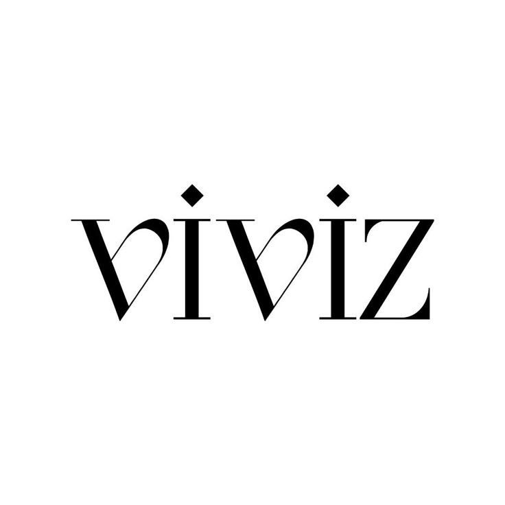 Image for Viviz
