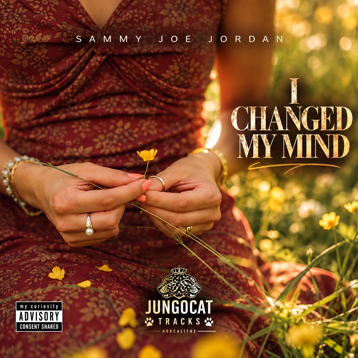 I CHANGED MY MIND artwork