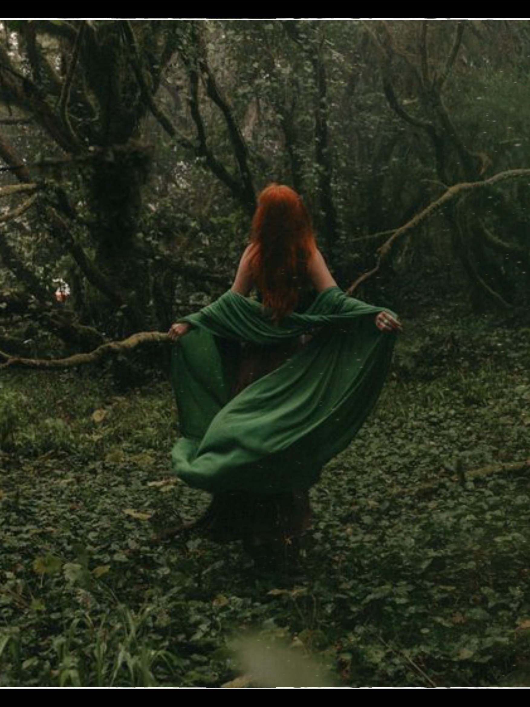 Na Cinn Fhiáine (The Wild Ones) artwork