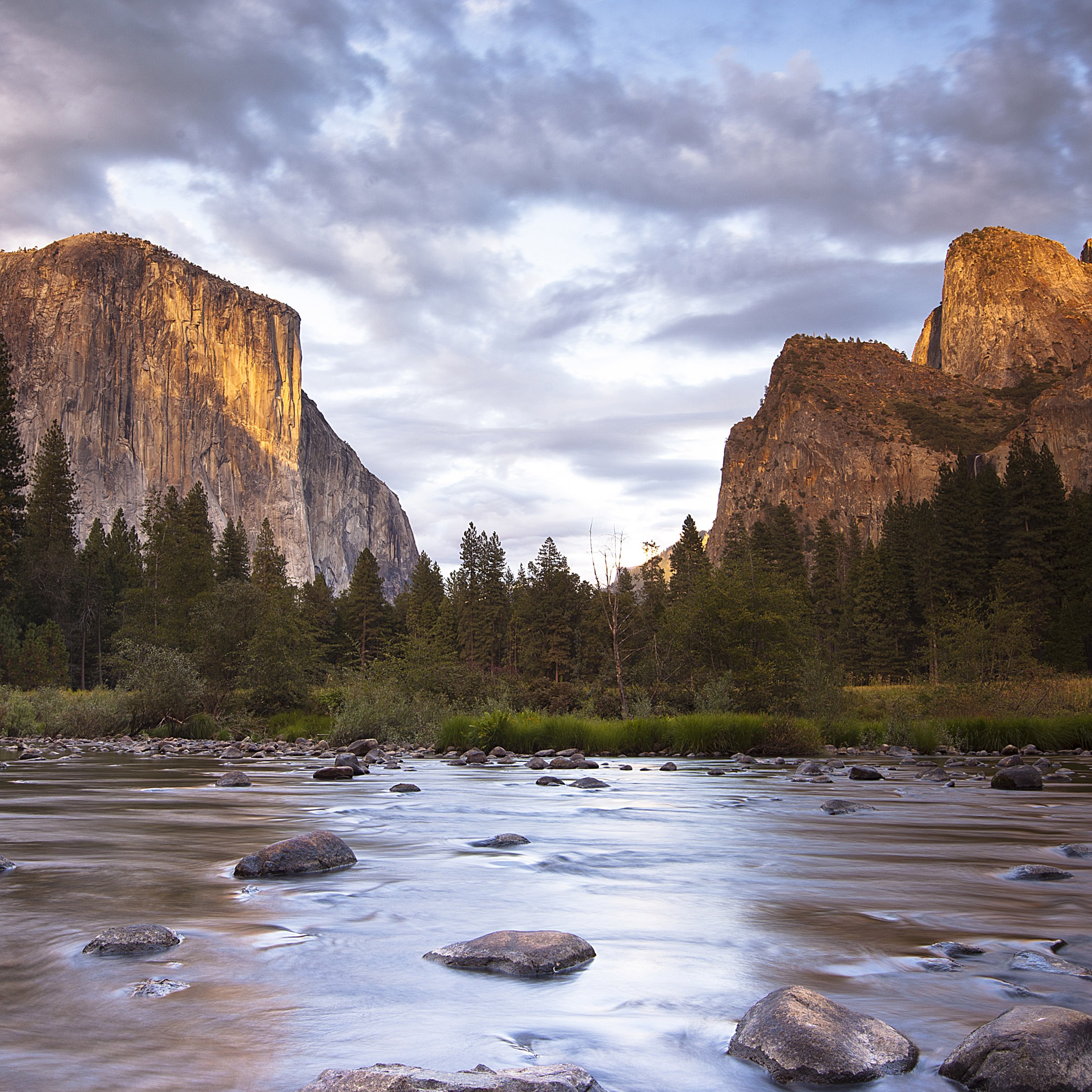 Image for The Fight Is Real