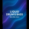 LIQUID DRUM & BASS: Mini Mix Vol.2