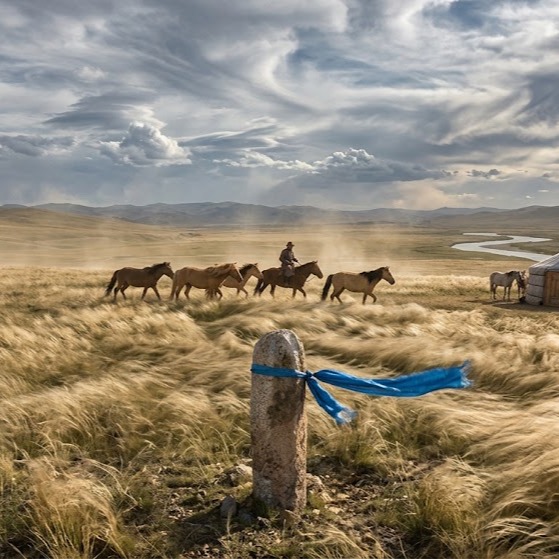 Wind Across the Steppe artwork