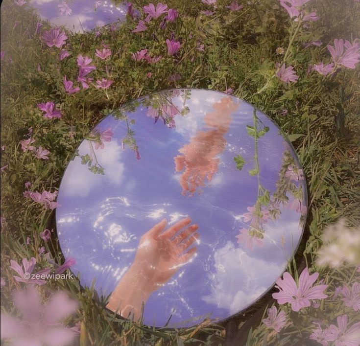 Image for Enchanting