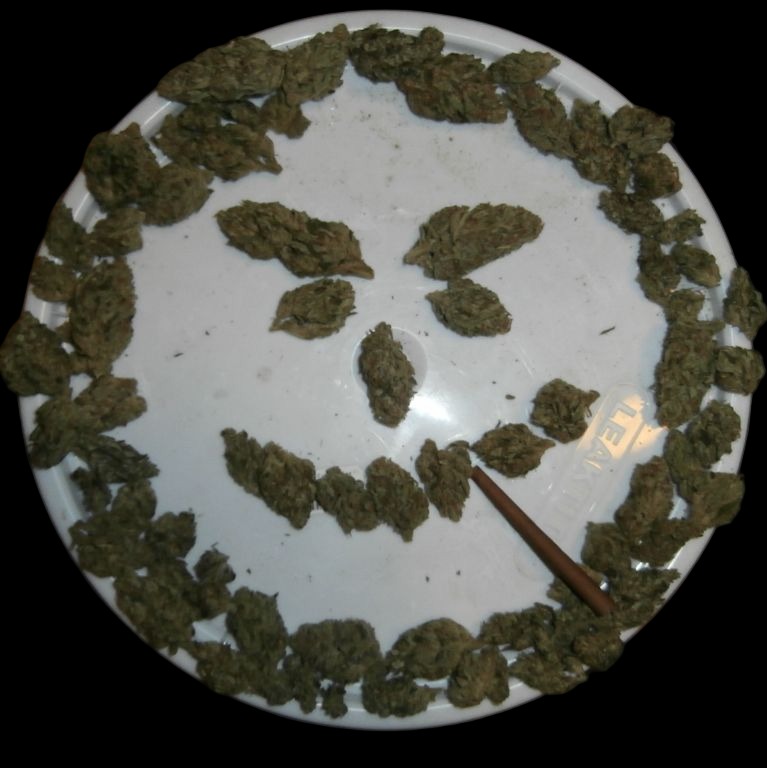 Lifted and Gifted artwork
