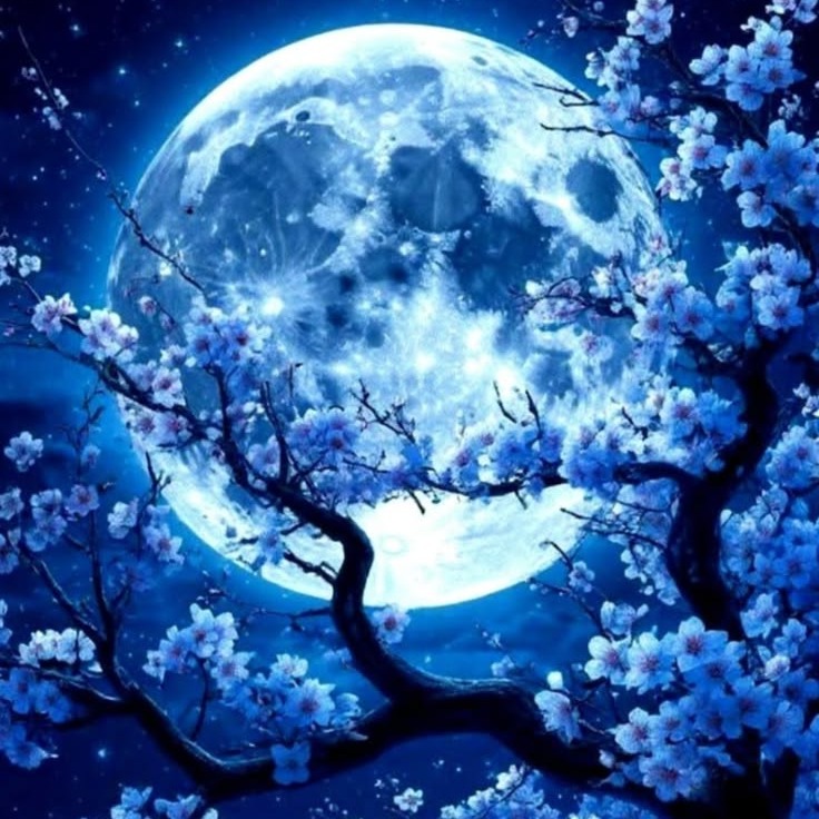 MOONLIT 4 artwork