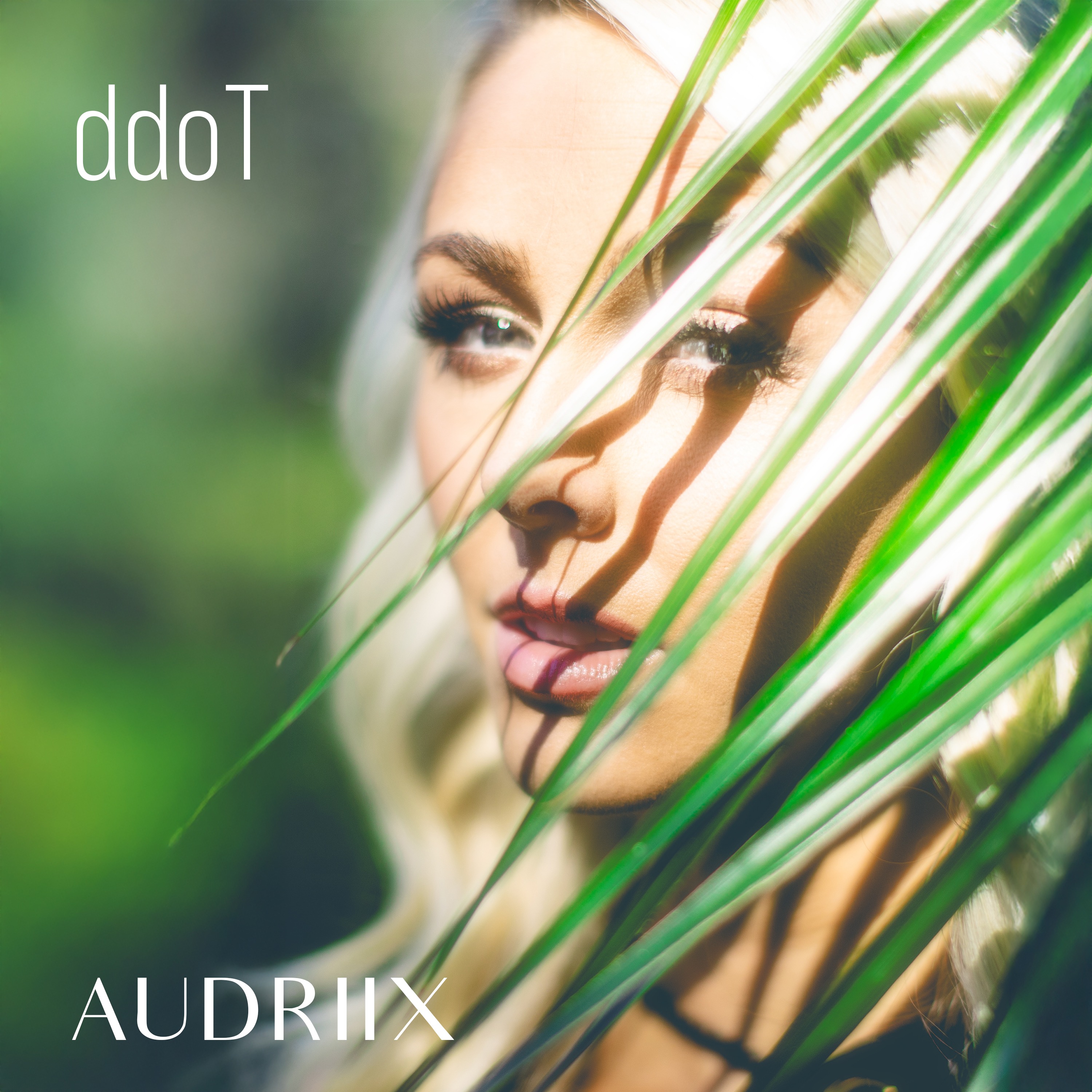 ddoT artwork