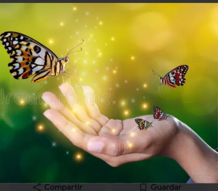 COMO MARIPOSAS 2(CLMD) CALULA. artwork