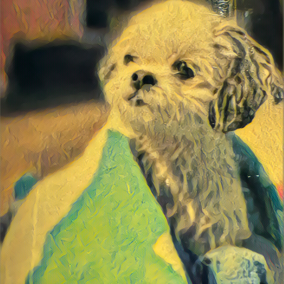 🎶 “Piccola Toni, Stella che Balla” (Heart Songs by Dr. Ken) artwork