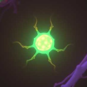 Image for 1. Βιολογία Α Γυμνασίου 2025-2026