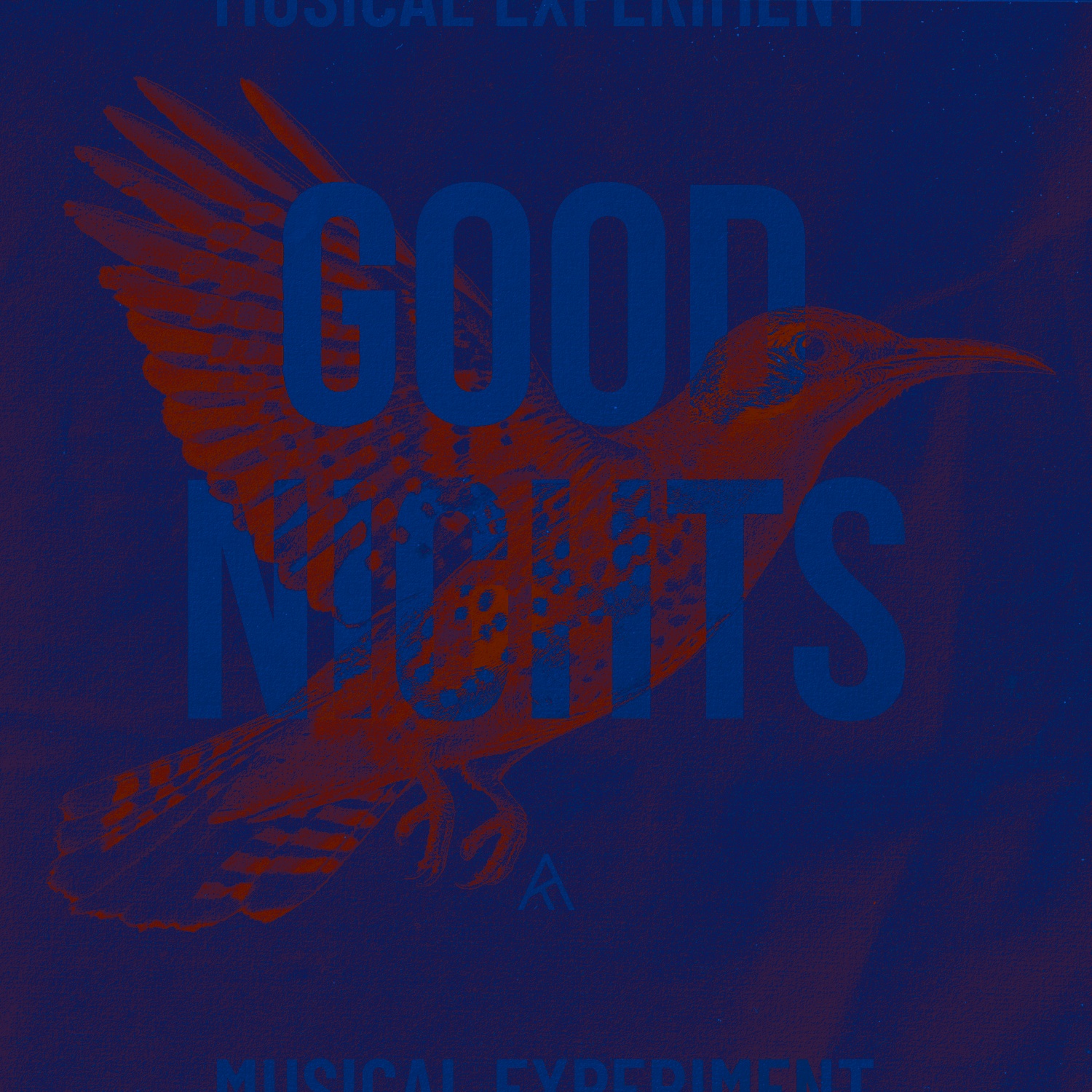 Image for Good Nights