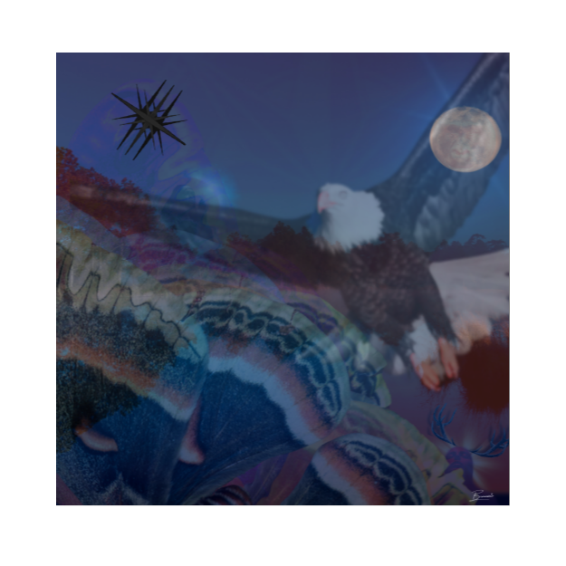 VOID artwork