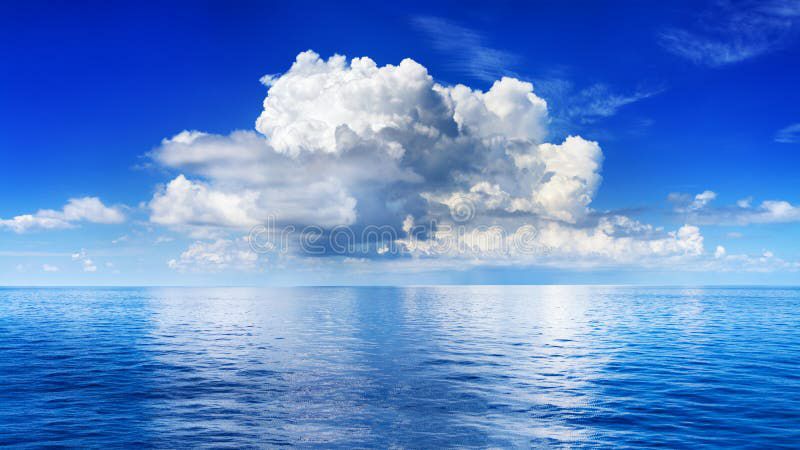 White Horizon artwork