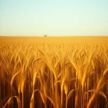 Image for Red Circle - Let's Talk About It - Album