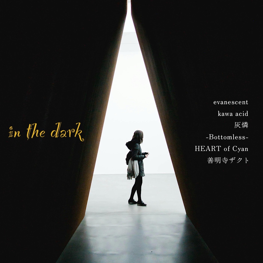 Image for in the dark
