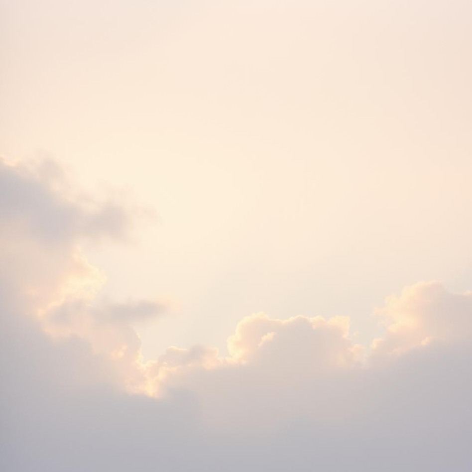消えた手のひら artwork