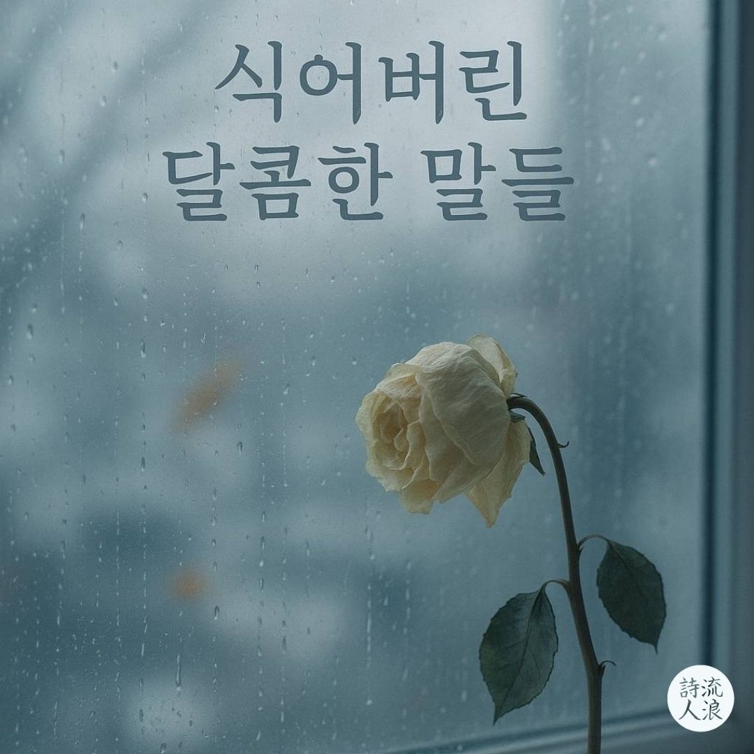 Image for 한국 노래