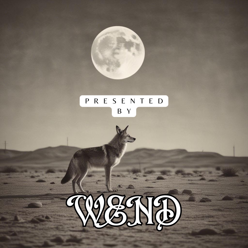 Image for The nameless series