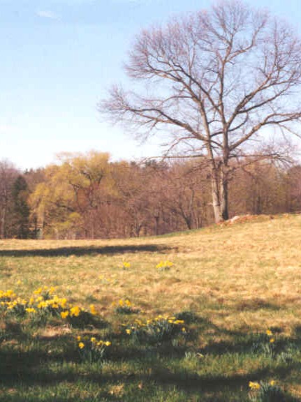 A walk in the Fields artwork