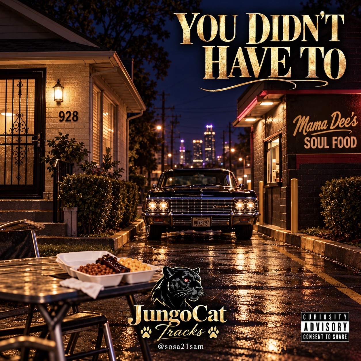 YOU DIDN'T HAVE TO artwork