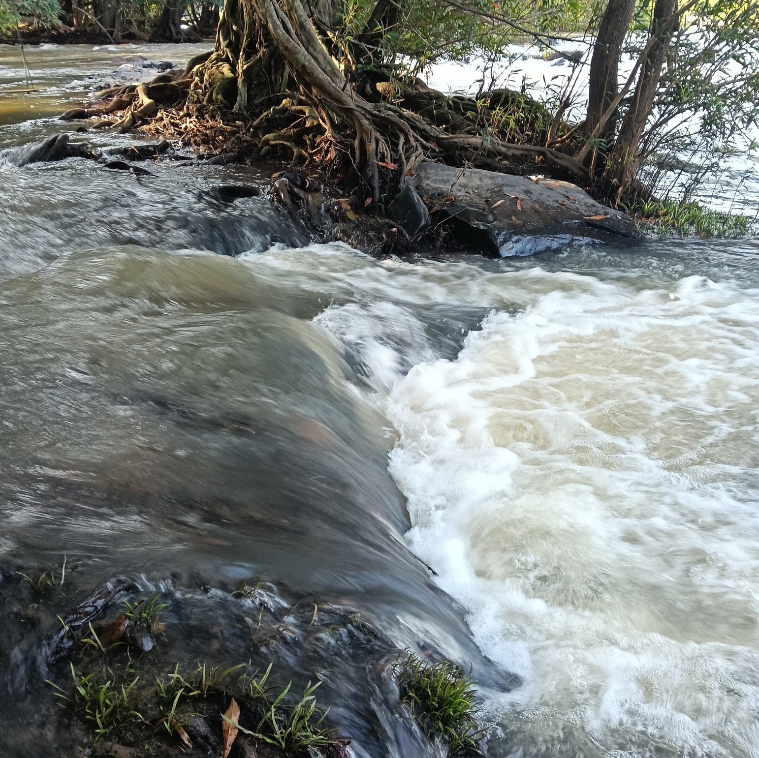 Image for แม่น้ำเข็กน้อย