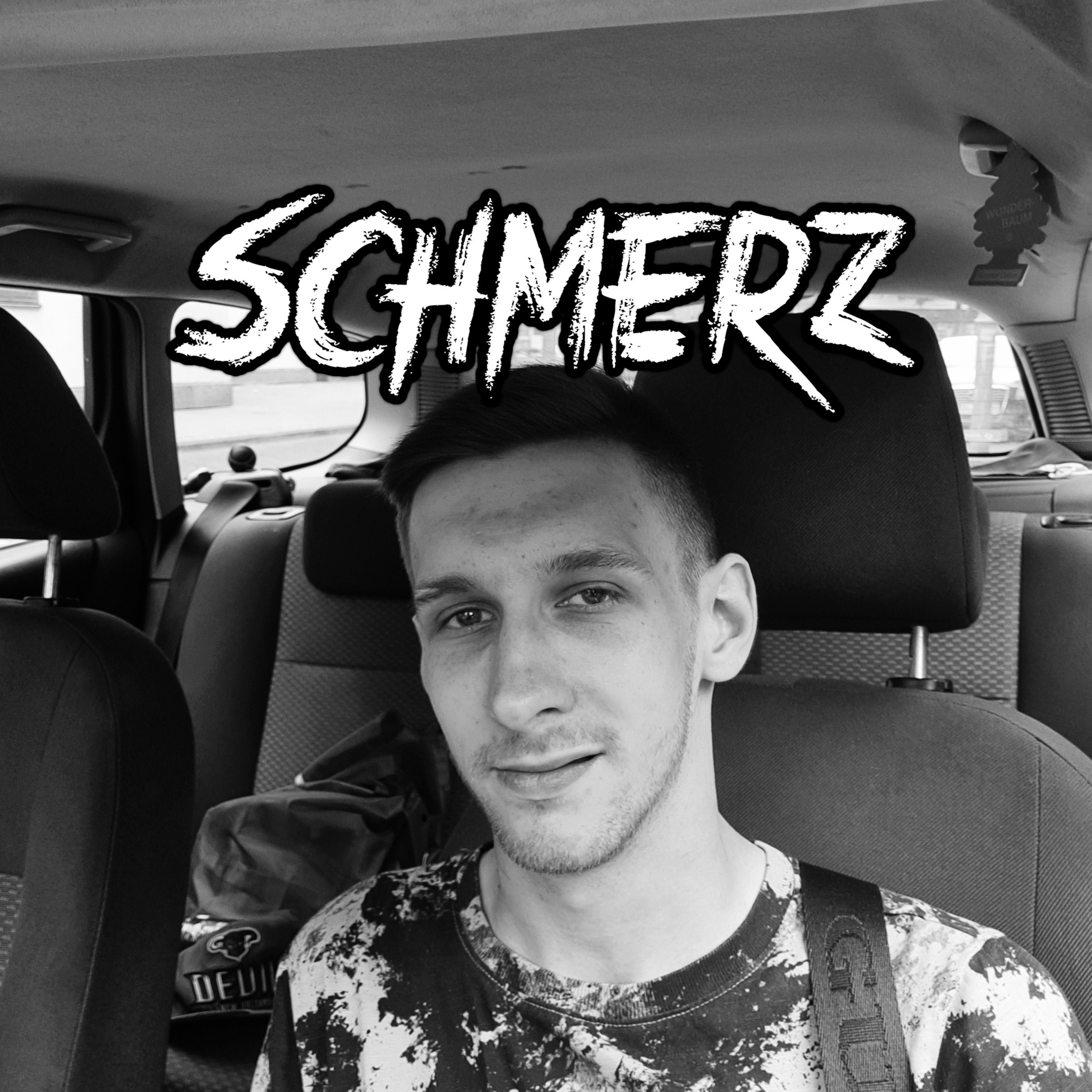 Image for ALBUM: Schmerz