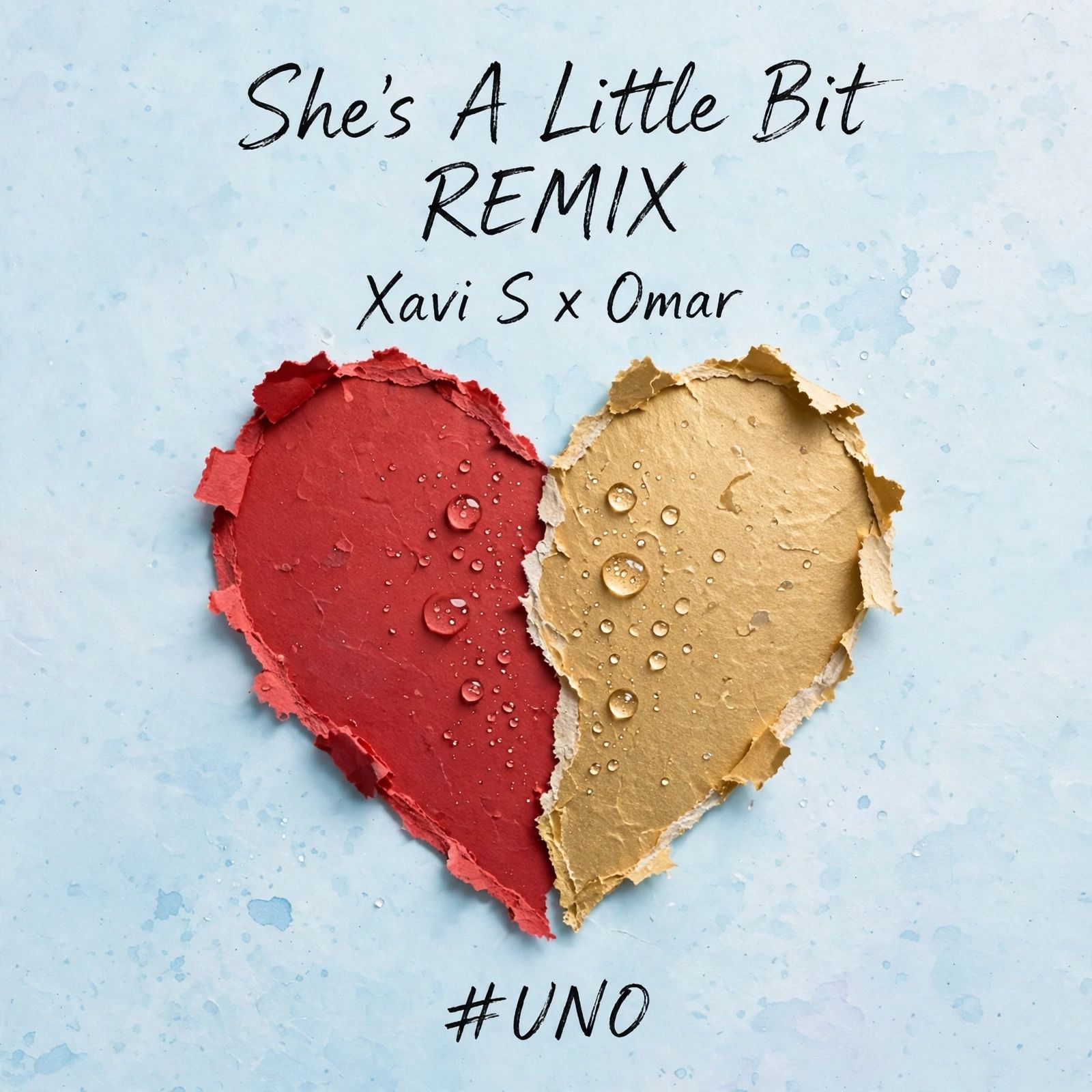 She's A Little Bit (Xavi S Remix) artwork